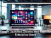 Google Launches Chrome Web Store for Enterprise Users