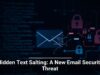 Hidden Text Salting: A New Email Security Threat
