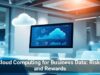 Cloud Computing for Business Data: Risks and Rewards