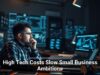 High Tech Costs Slow Small Business Ambitions