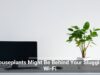 Houseplants Might Be Behind Your Sluggish Wi-Fi