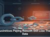 Businesses Paying Ransom Still Lose Their Data