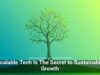 Scalable Tech Is The Secret to Sustainable Growth